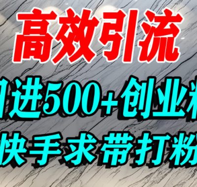 怎么打创业粉？快手求带视角精准引流创业粉，宝妈、学生群体日进500+精准流量