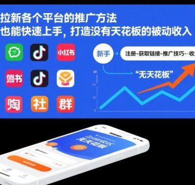 网盘拉新各个平台的推广方法，新手也能快速上手，打造没有天花板的被动收入