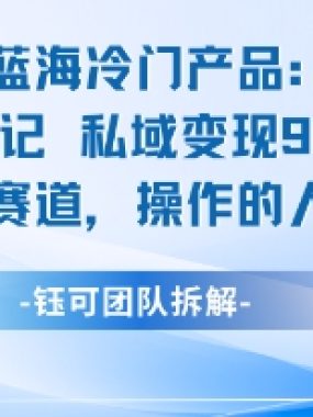 蓝海项目：16条笔记私域变现9750米小众赛道操作的人不多