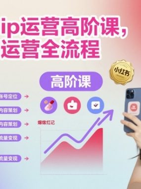 小红书ip运营高阶课，小红书运营全流程