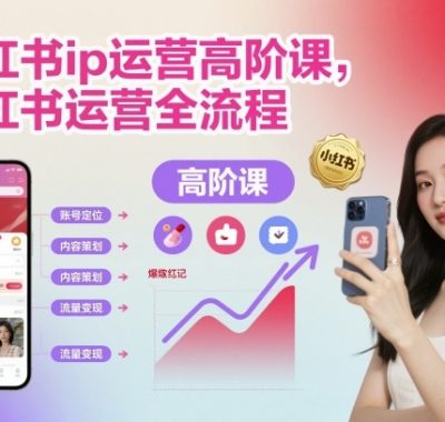 小红书ip运营高阶课,小红书运营全流程