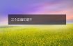 三个正偏印透干