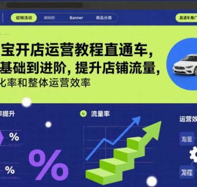 淘宝开店运营教程直通车，从基础到进阶，提升店铺流量，转化率和整体运营效率（更新11月）