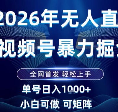 2026最新视频号无人直播掘金，全网首发，小白可以玩，长期稳定日入1k+【揭秘】