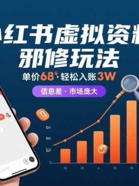 小红书虚拟资料邪修玩法，单价68，轻松入账3W，信息差玩法，市场庞大
