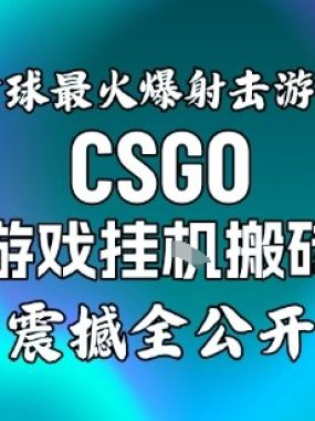 【年底大揭秘】基于全球最火爆的射击CSGO游戏挂G搬砖，日入5张+，震撼公开