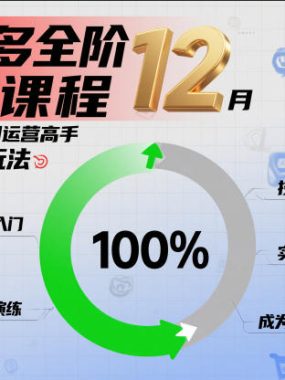拼多多全阶实战课程12月，从新手小白到运营高手，海量实战玩法