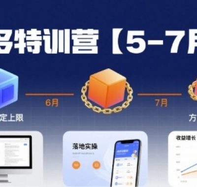 多多特训营，产品决定上限，方法决定下限，各种玩法技巧落地实操（更新）