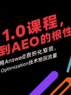 AEO 1.0 课程，从SEO到AE0的基命性转变，手把手教会你用AnswerEngineOptimization技术抢回流量（更新）