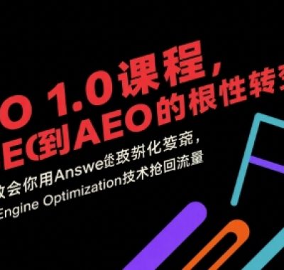 AEO 1.0 课程，从SEO到AE0的基命性转变，手把手教会你用AnswerEngineOptimization技术抢回流量（更新）