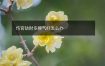 伤官劫财多脾气好怎么办