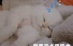 梦见老婆睡觉预示着家庭和谐安宁。