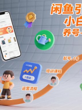 闲鱼引流培训，小白到高手，养号-起号-运营