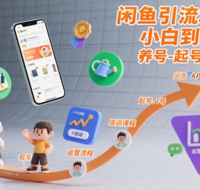 闲鱼引流培训，小白到高手，养号-起号-运营