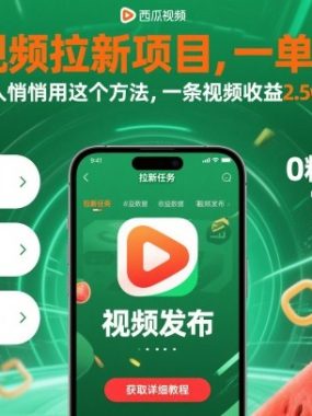 西瓜视频拉新项目，一单13米，有人悄悄用这个方法，一条视频收益2.5w+（附详细教程）