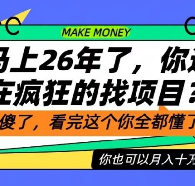 26年了，不要再疯狂的找项目了，看完这个你也可以月入十个W【揭秘】