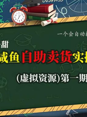 麦子甜咸鱼自助卖货实操版(虚拟资源)一个会自动搞钱的机器