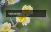 伤官比劫劫财