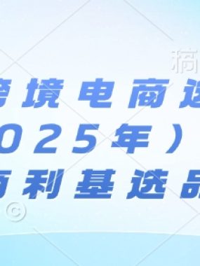 亚马逊跨境电商选品案例(更新2025年10月)，跨境电商利基选品