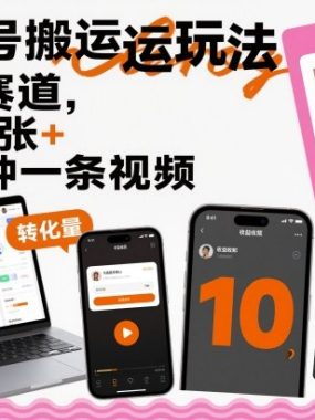 视频号搬运玩法，相亲赛道，日入3张+，10分钟一条视频