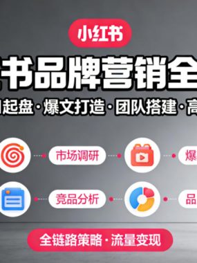 小红书品牌营销全链路，从0到1起盘、爆文打造、团队搭建到高效投放的全链路策略