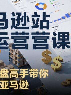 亚马逊站内运营课：资深操盘高手带你玩转亚马逊