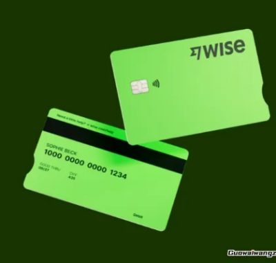 当绿色的Wise卡片滑入钱包，世界似乎变小了一点