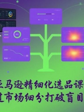 亚马逊精细化选品课程，通过市场细分打破盲目竞争