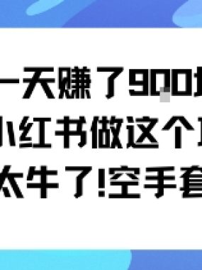 一天挣了9张用小红书做这个项目太牛了，空手套