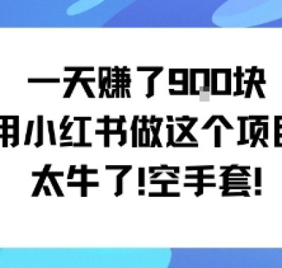 一天挣了9张用小红书做这个项目太牛了，空手套