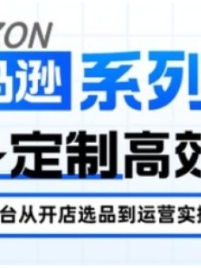 亚马逊新手开店从入门到精通，全面覆盖亚马逊开店各阶段要点，助新手从入门到精通