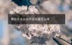 癸亥水木女命伤官太重怎么样