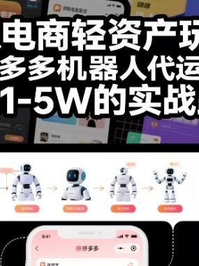 虚拟电商轻资产玩法：拼多多机器人代运营，月入1-5W的实战路径【揭秘】