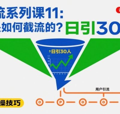 引流系列课11：我是如何截流的？日引30人【文档】