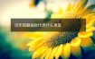 流年暗藏偏财代表什么意思