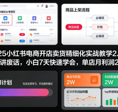 2025小红书电商开店卖货精细化实战教学2.0，不讲废话，小白7天快速学会，单店月利润2W