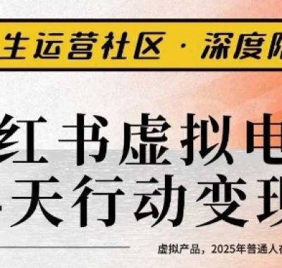 小红书虚拟电商14天变现训练营3.0，​虚拟产品，2025年普通人在小红书最后的搞钱机会