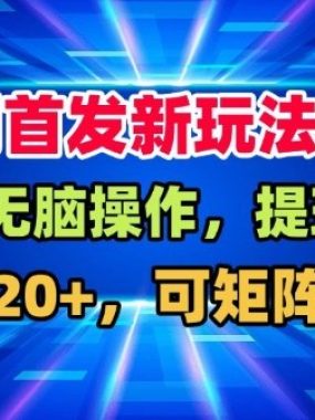 全网首发挂G，盒子自动賺米，单机20+，可矩阵放大，长期稳定运营【揭秘】