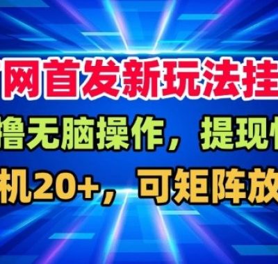 全网首发挂G，盒子自动賺米，单机20+，可矩阵放大，长期稳定运营【揭秘】