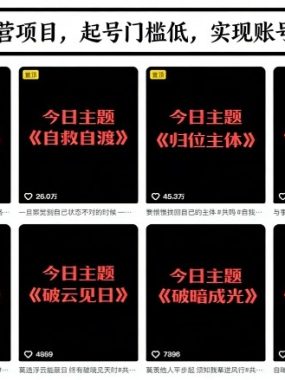 抖音IP运营项目，抖音今日主题玩法，起号门槛低，实现账号稳定增长