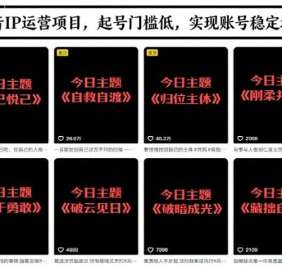 抖音IP运营项目，抖音今日主题玩法，起号门槛低，实现账号稳定增长