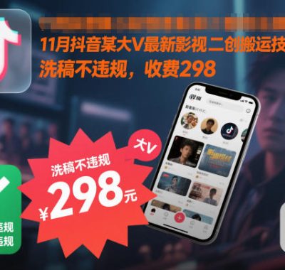 11月抖音某大V最新影视二创搬运技术，洗稿不违规，收费298