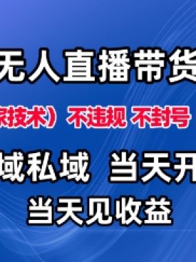淘宝无人直播13.0，公域私域技术，不封号，不违规布局下半年旺季赛道，日入1K+（独家技术）【揭秘】