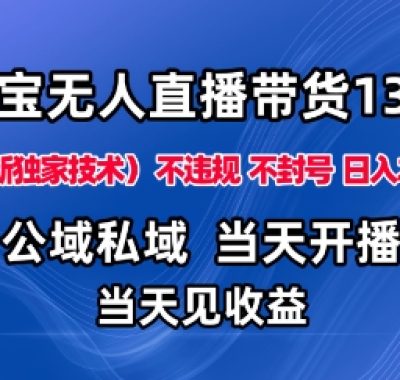 淘宝无人直播13.0，公域私域技术，不封号，不违规布局下半年旺季赛道，日入1K+（独家技术）【揭秘】