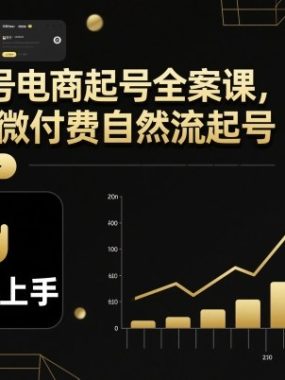 视频号电商起号全案课，0到1微付费自然流起号