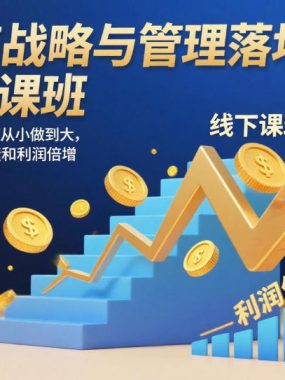 电商战略与管理落地班线下课，教你公司如何从小做到大，如何实现业绩和利润倍增【录音】