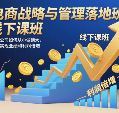 电商战略与管理落地班线下课，教你公司如何从小做到大，如何实现业绩和利润倍增【录音】