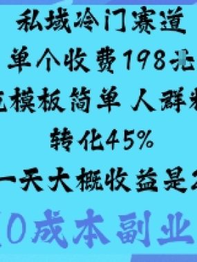 私域冷门赛道:单个收费198米引流模板简单人群精准转化45%单人一天大概收益是1k+
