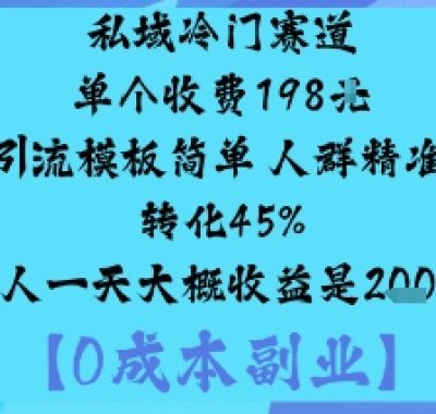 私域冷门赛道:单个收费198米引流模板简单人群精准转化45%单人一天大概收益是1k+