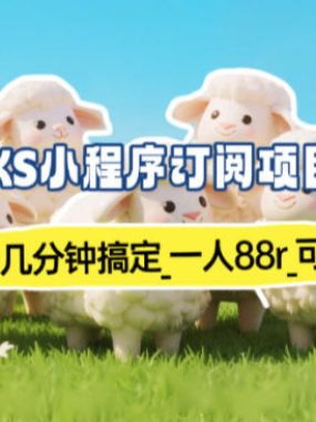 小程序订阅项目_小白几分钟搞定，一人88米，可矩阵（已测到账）